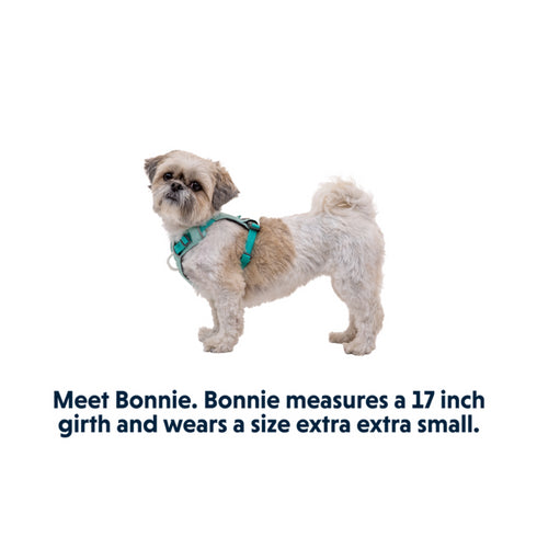 RuffWear Hi & Light Lightweight Dog Harness XSmall Sage Green - Poudre Pet & Feed Supply 9